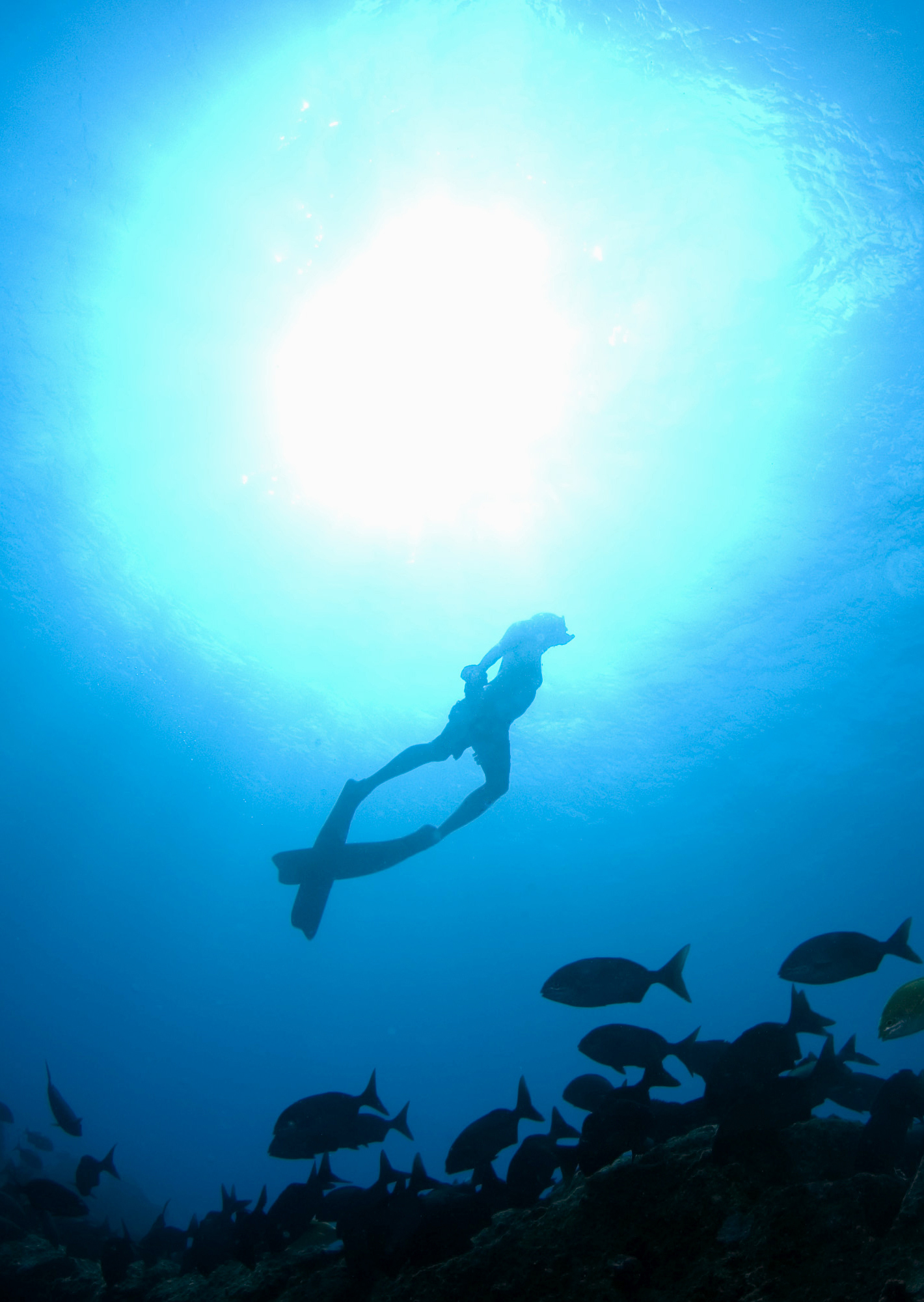 How Long Can You Hold Your Breath? The Dangers of Freediving I Spy