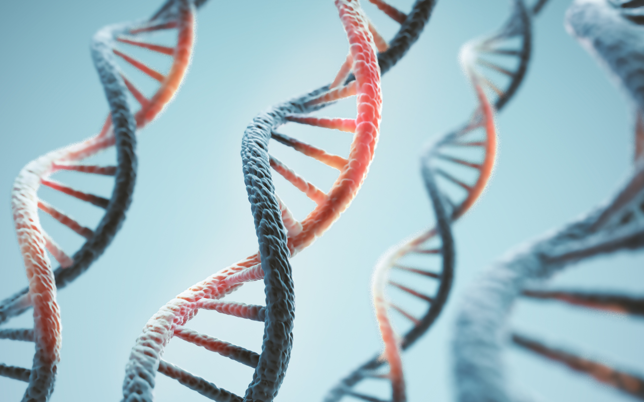 Spotlight On: DNA and RNA