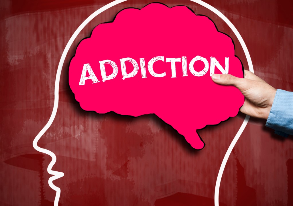 How Drugs Change the Way Your Brain Works I Spy Physiology Blog