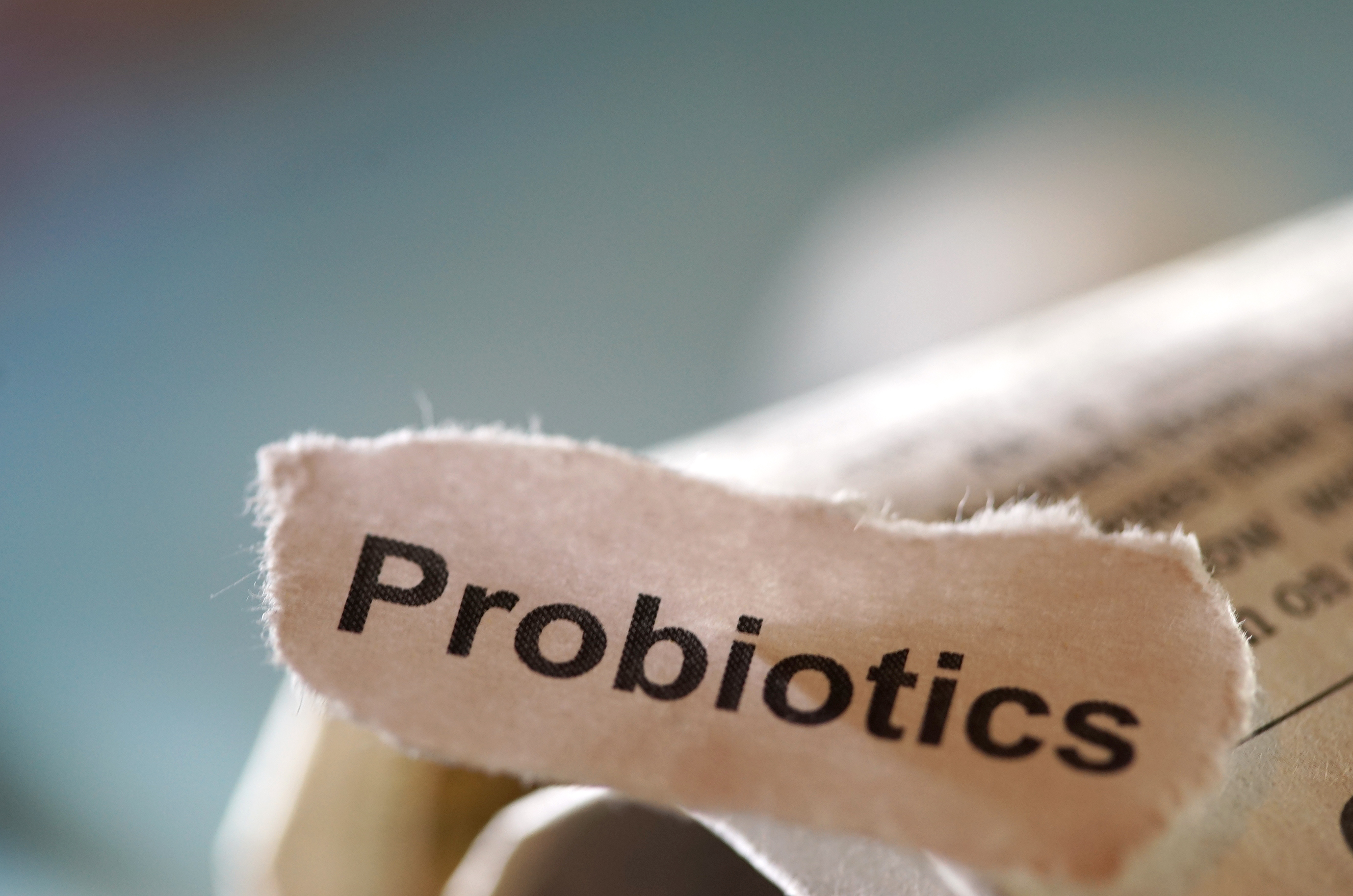 Spotlight On: Probiotics
