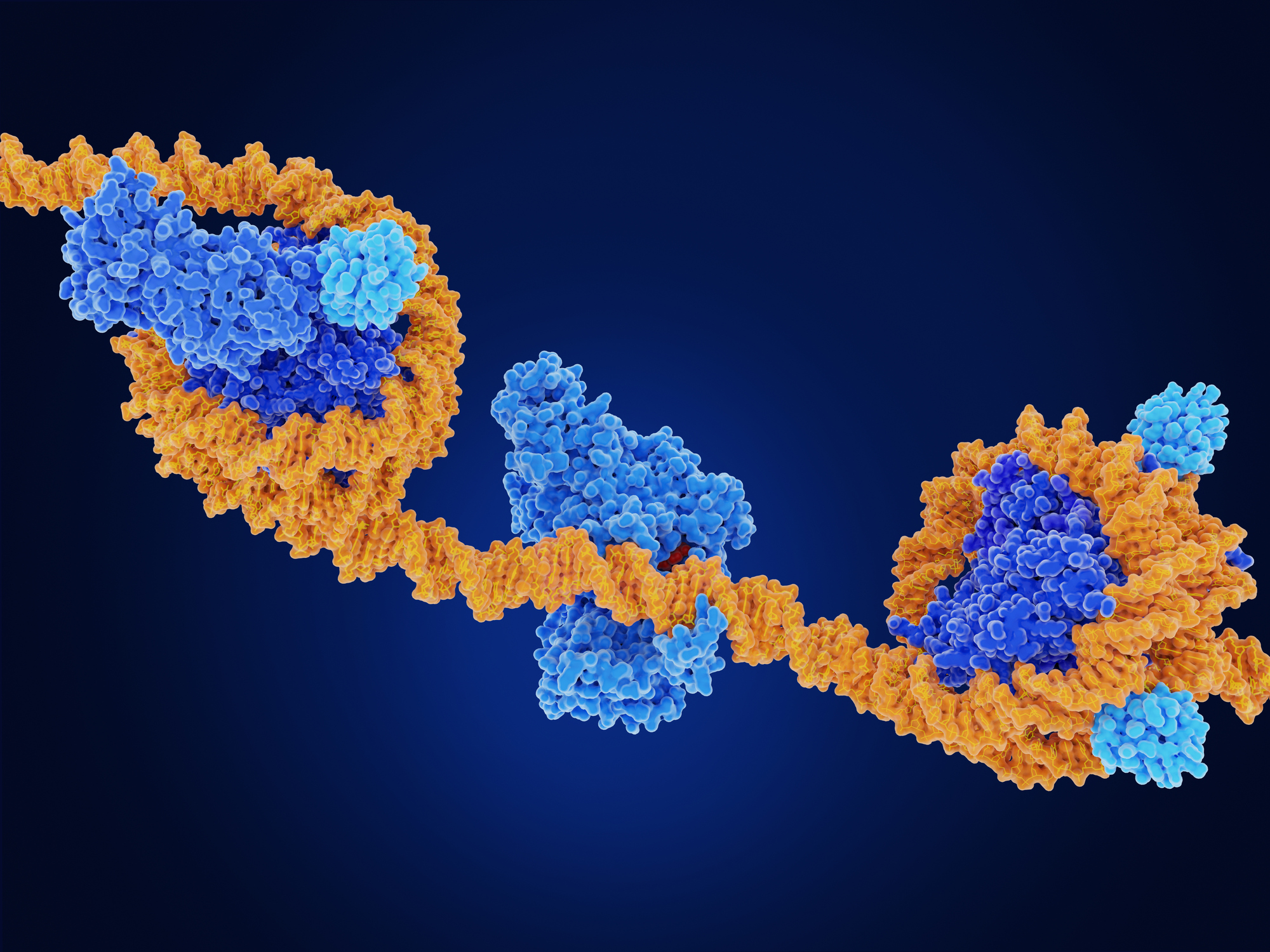 The Epigenetic Code: What Controls Our Genes Without Changing Them?